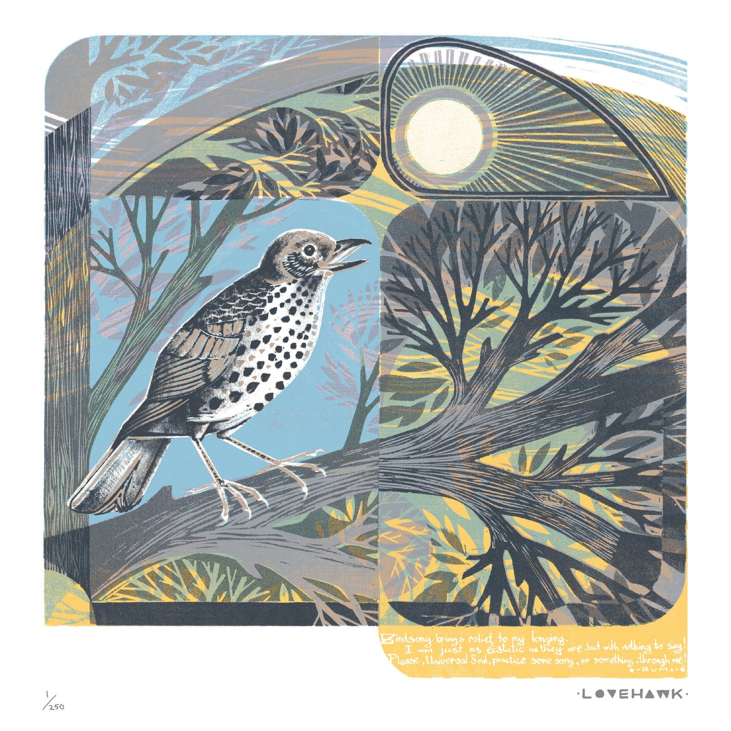 The Birdsong Project: Art Print Portfolio