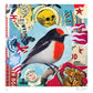 The Birdsong Project: Art Print Portfolio