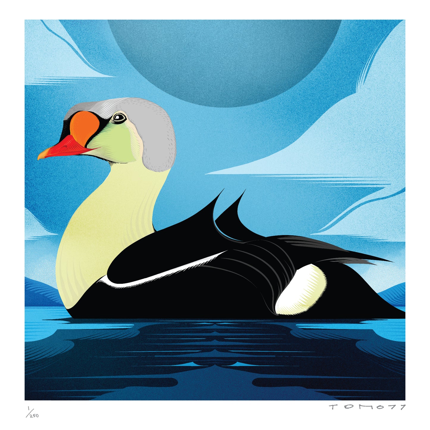 The Birdsong Project: Art Print Portfolio